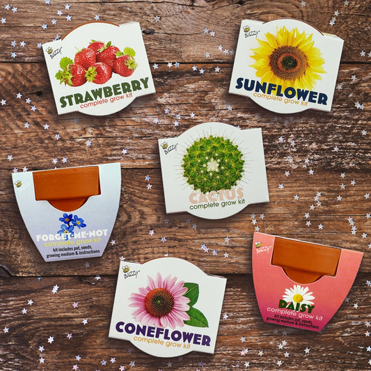 Mini Terracotta Grow Kit