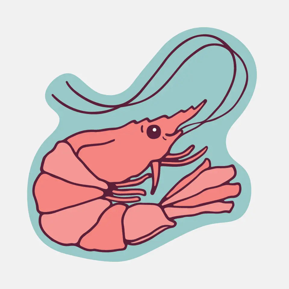 Shrimp Sticker