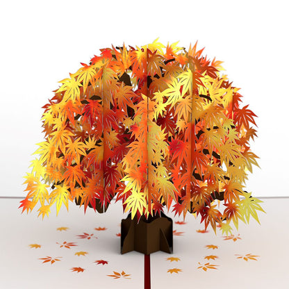 Sugar Maple Tree Pop Up Card