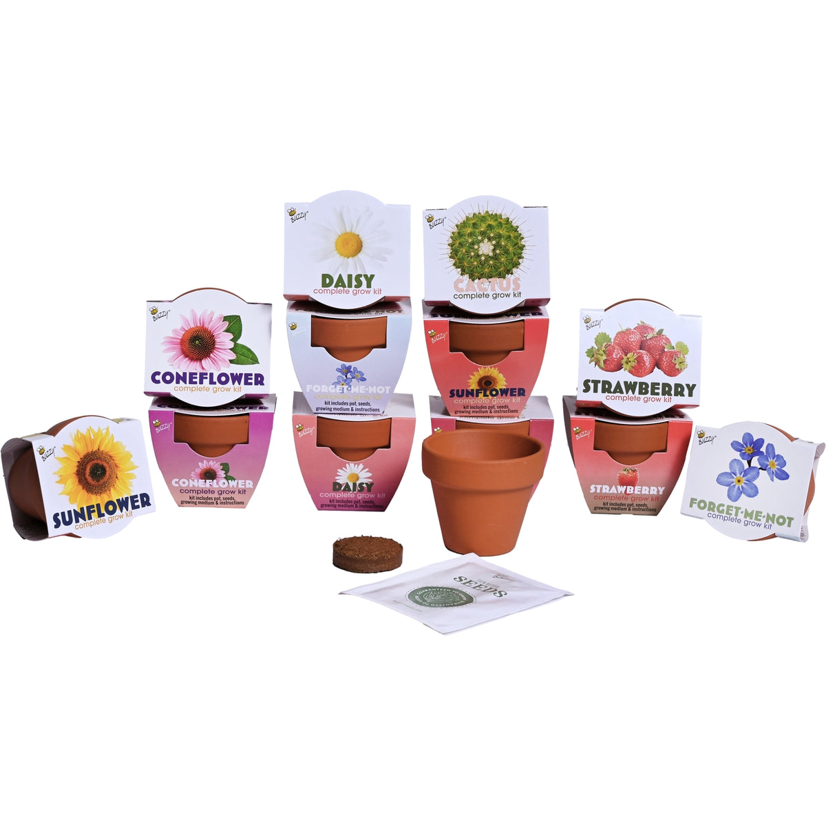 Mini Terracotta Grow Kit