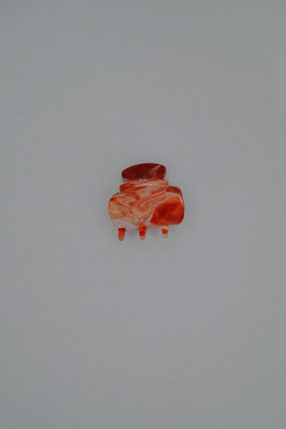 Mini Hair Claws