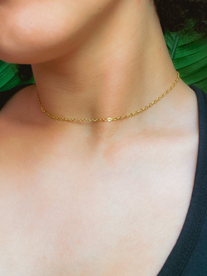 Thick Cable Chain Choker