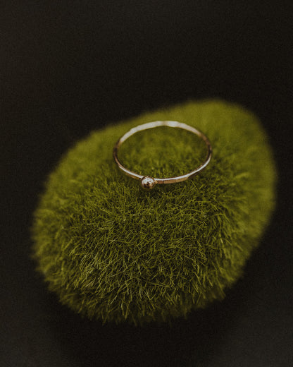 Dot Ring, Solid 14K Gold