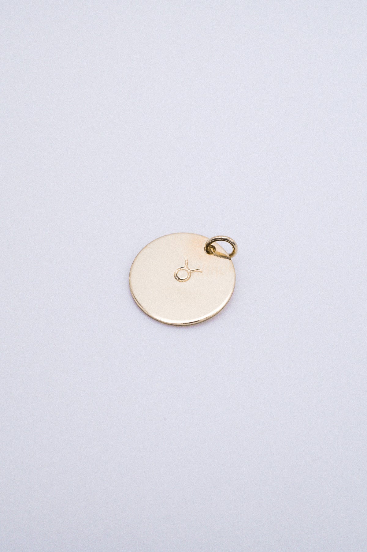 Zodiac Circle Charm, Solid 14K Gold