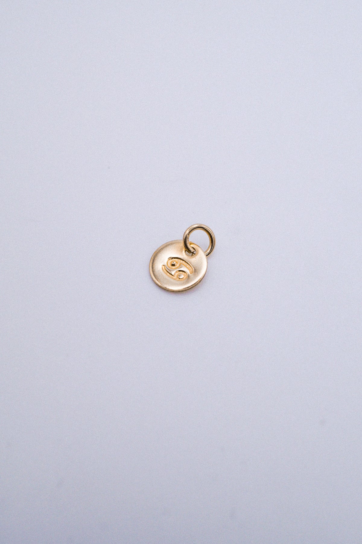 Tiny Zodiac Circle Charm, Solid 14K Gold
