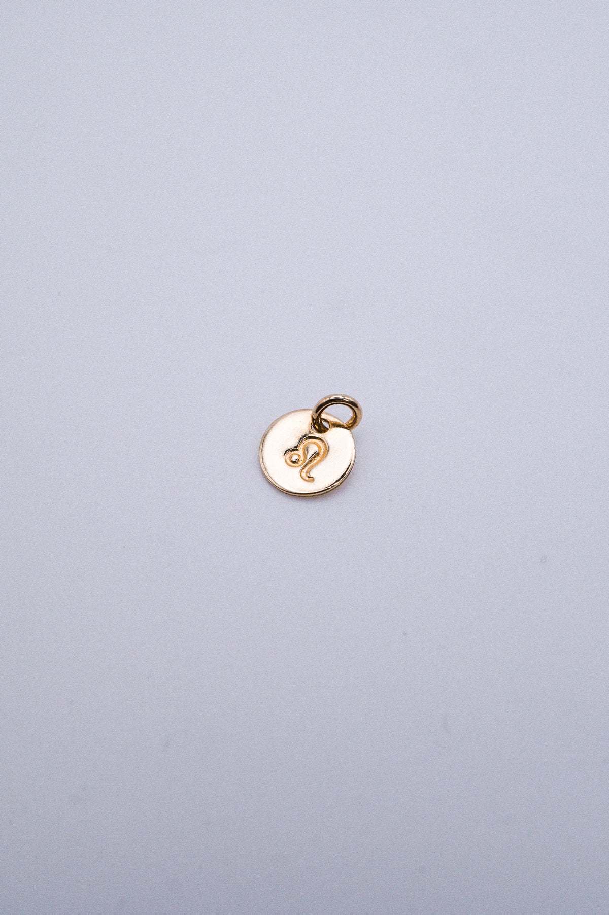Tiny Zodiac Circle Charm, Solid 14K Gold