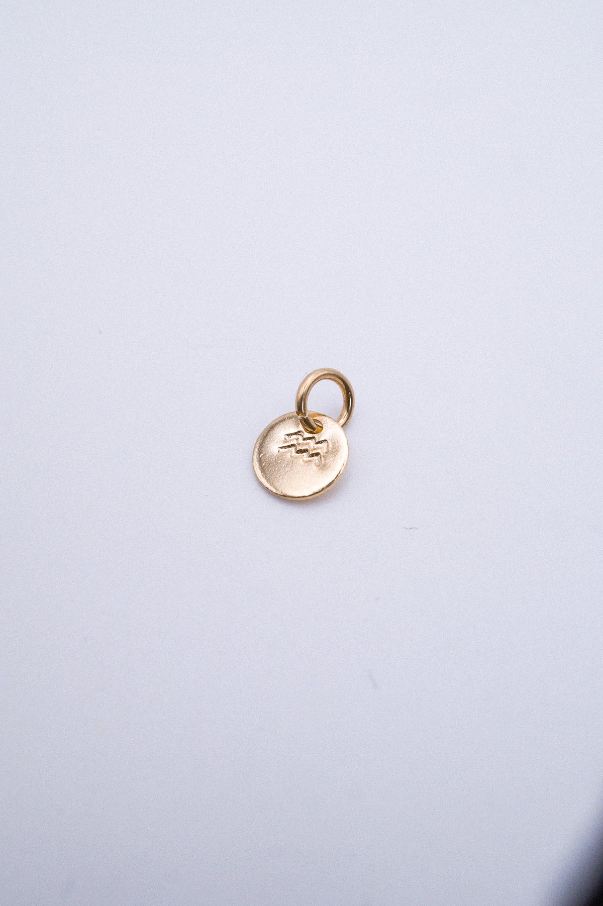 Tiny Zodiac Circle Charm