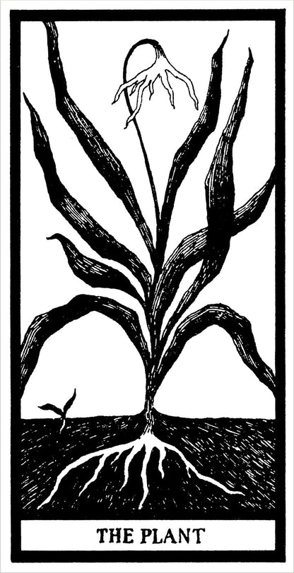 The Fantod Tarot Deck | Edward Gorey