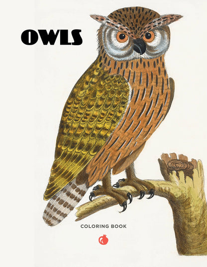 Owls Coloring Book