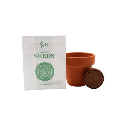 Mini Terracotta Grow Kit