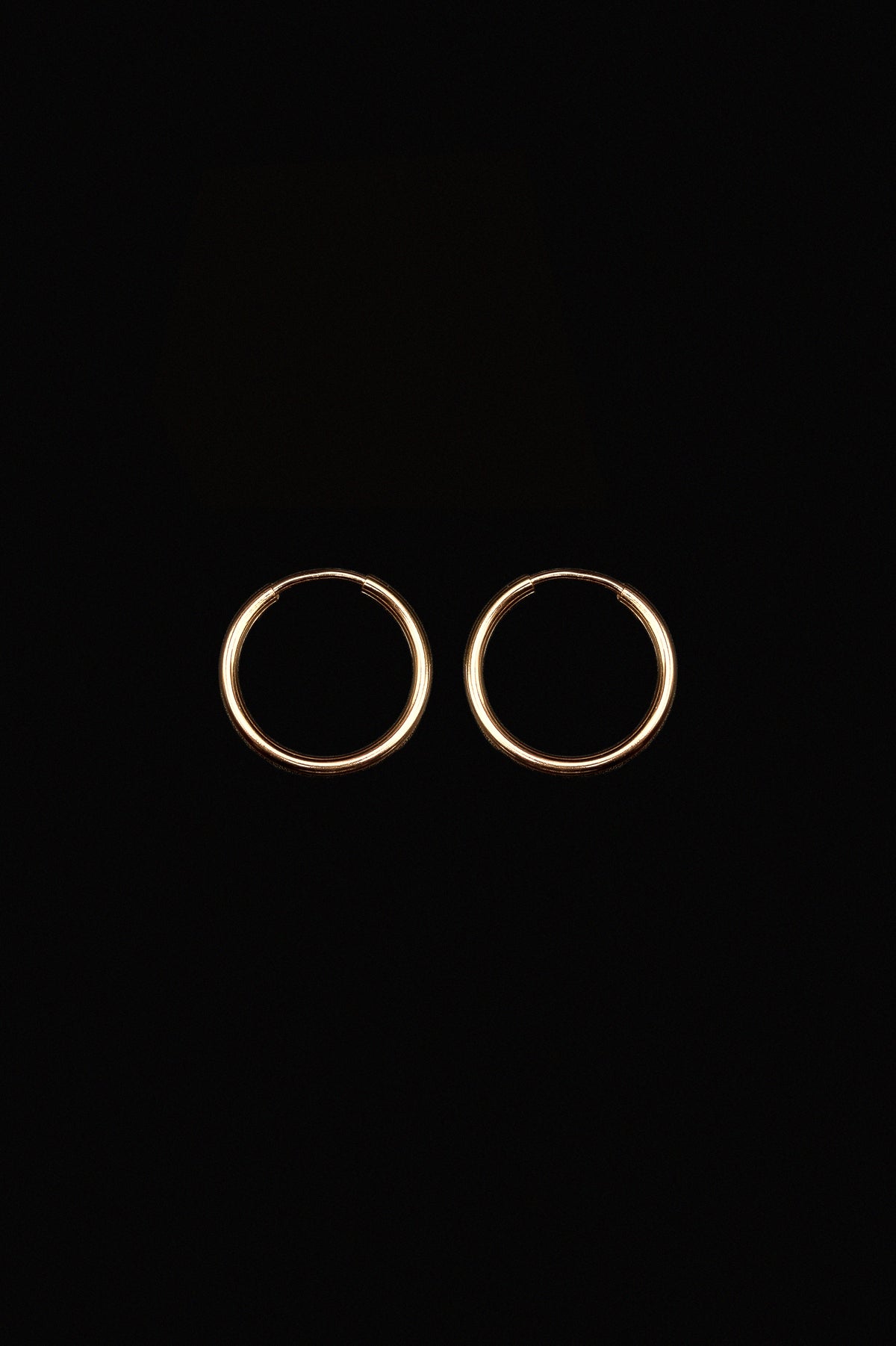 Endless Hoop Earring in 14K Gold Fill