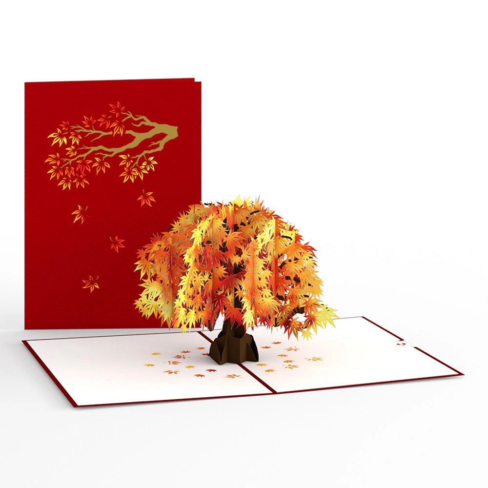 Sugar Maple Tree Pop Up Card