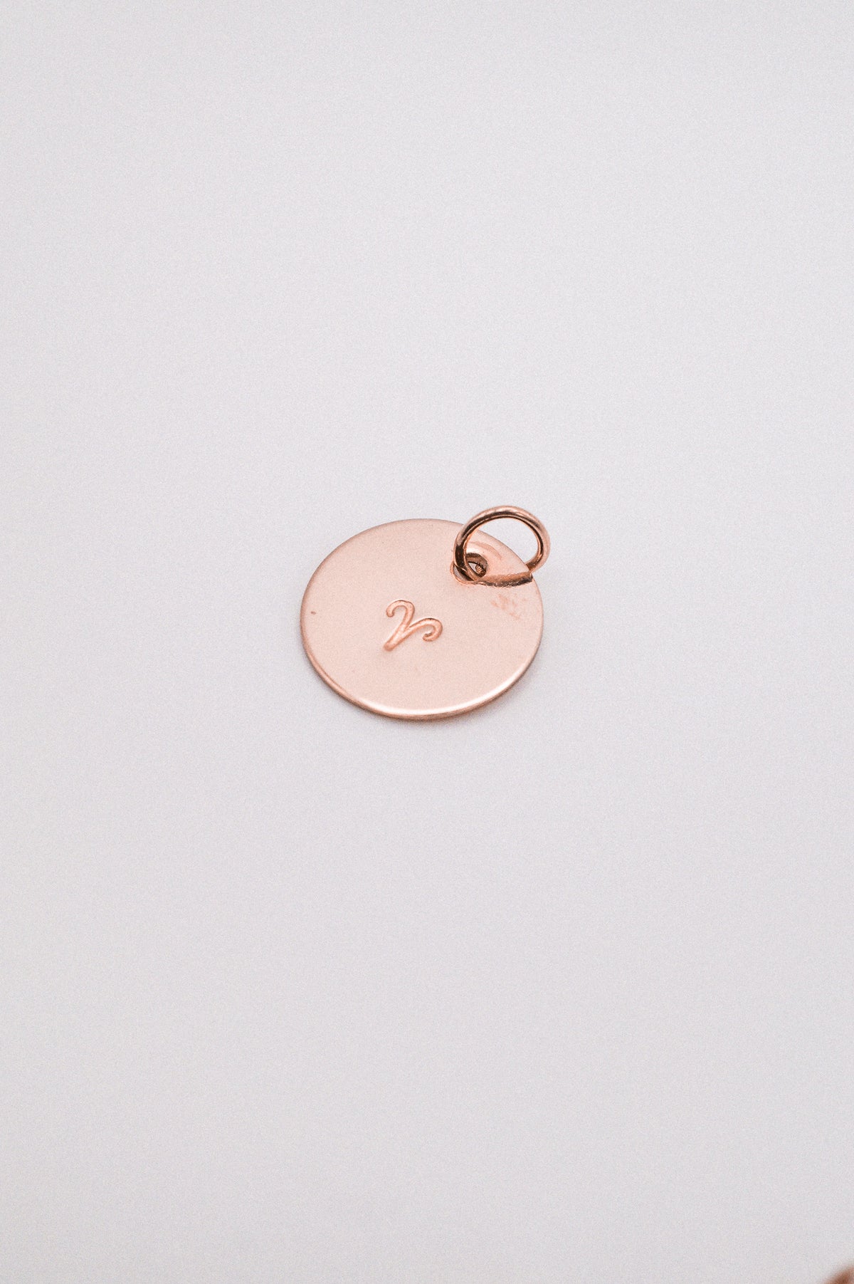 Zodiac Circle Charm
