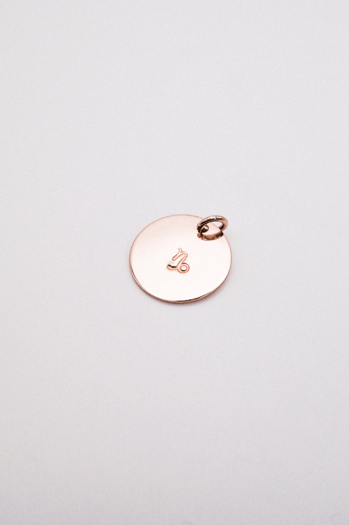 Zodiac Circle Charm