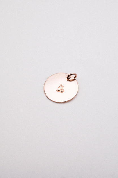 Zodiac Circle Charm