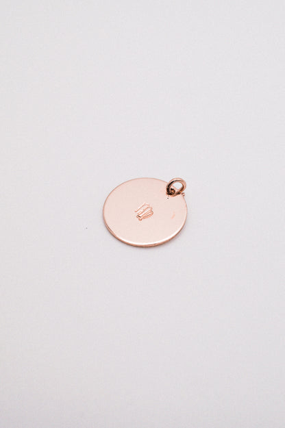 Zodiac Circle Charm