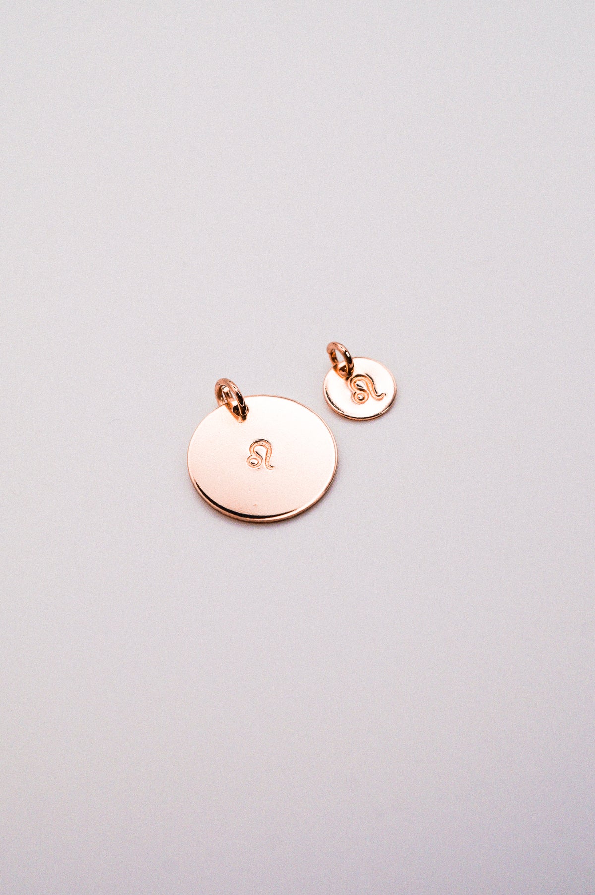 Zodiac Circle Charm