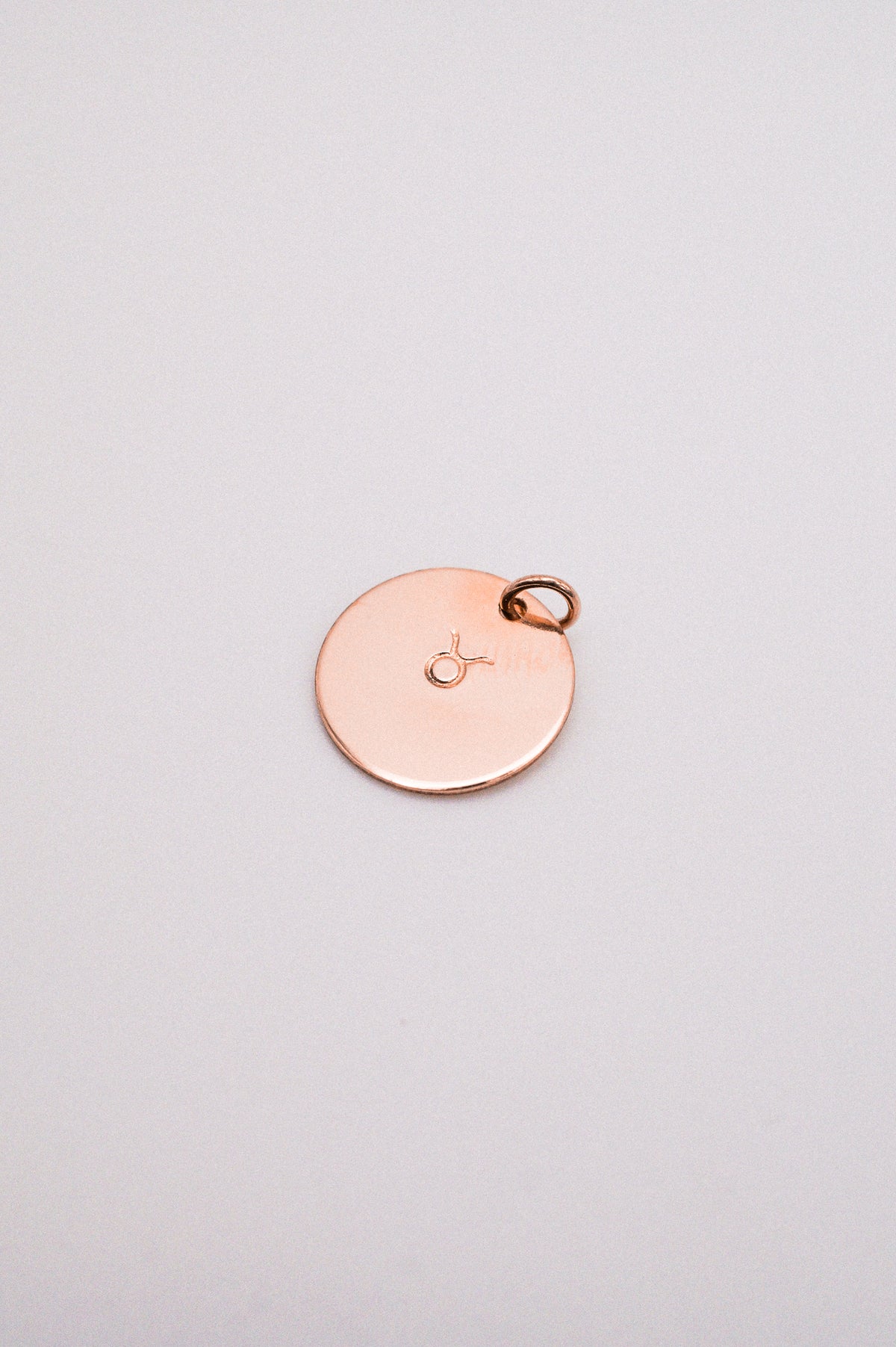 Zodiac Circle Charm