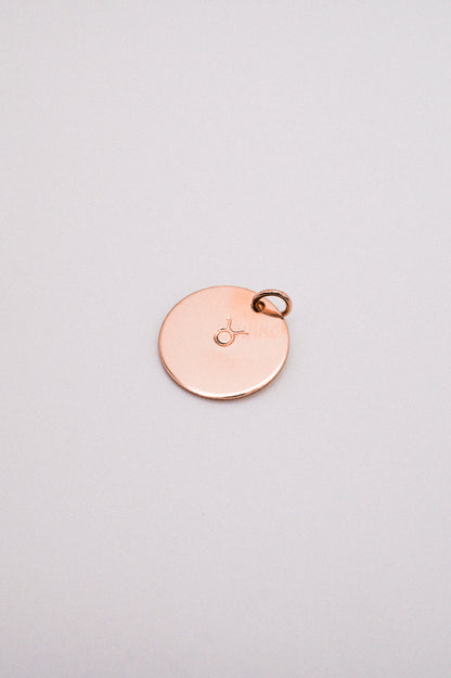 Zodiac Circle Charm