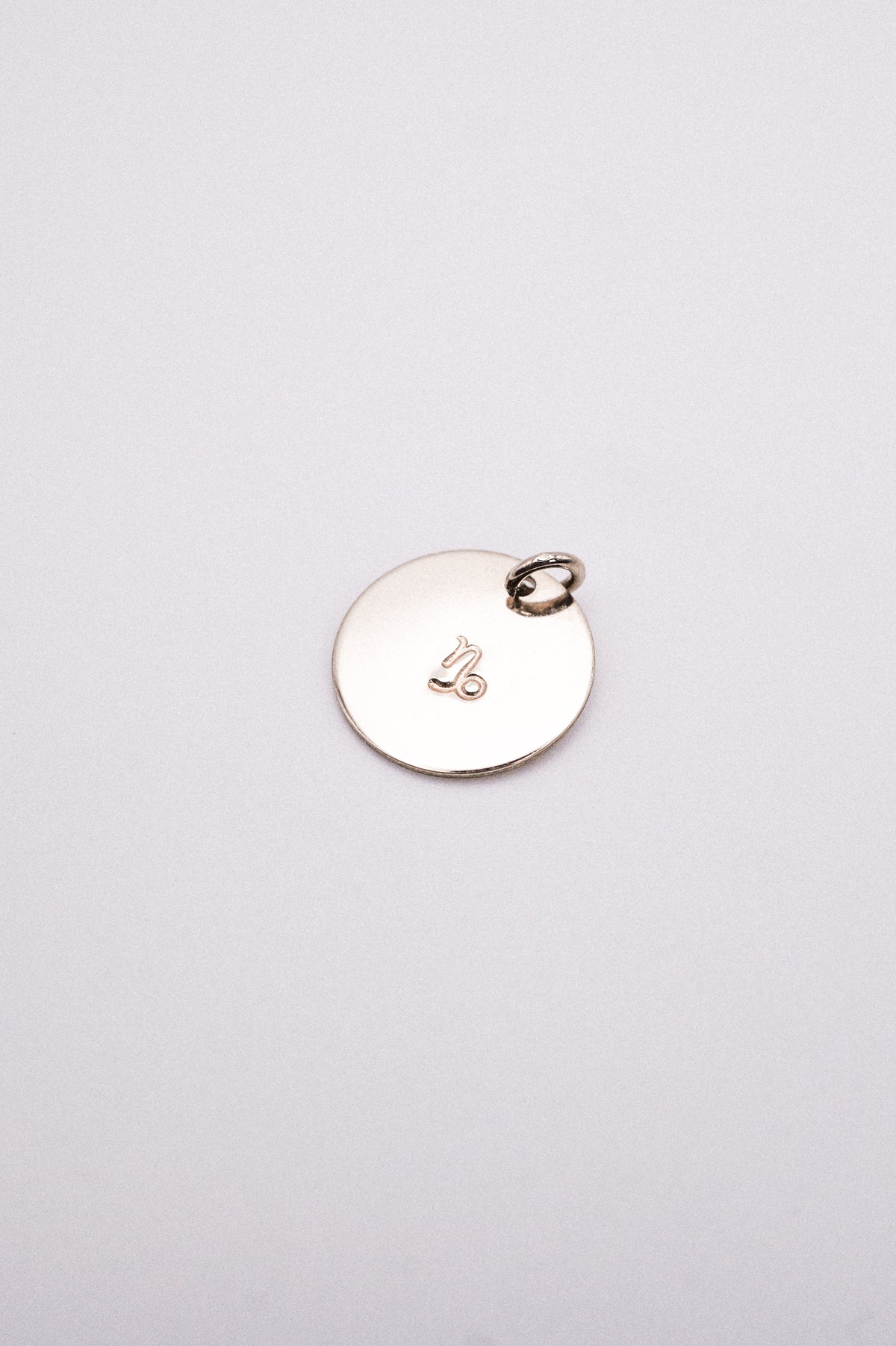 Zodiac Circle Charm