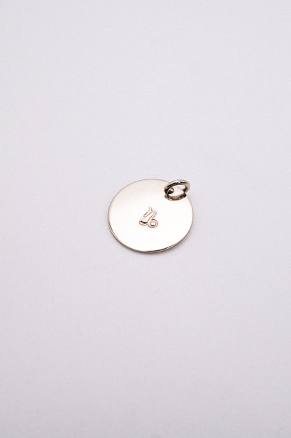 Zodiac Circle Charm