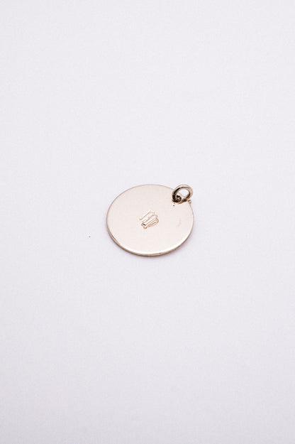 Zodiac Circle Charm