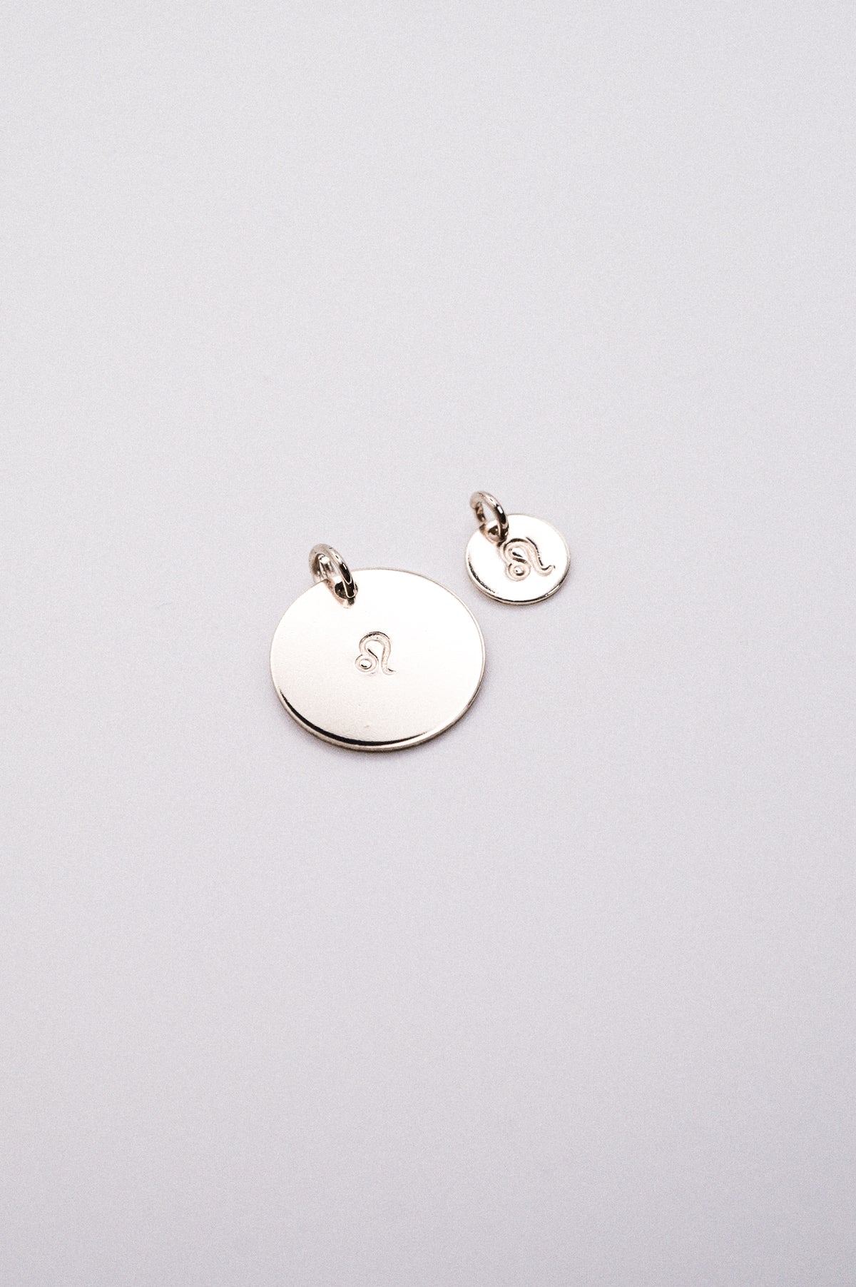 Zodiac Circle Charm
