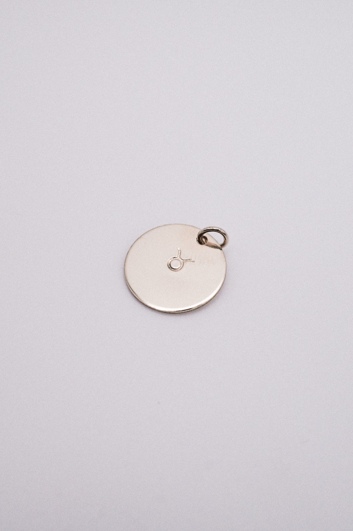 Zodiac Circle Charm